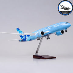 Boeing 787 Manchester City (Etihad)