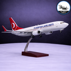 Boeing 737 Turkish Airlines