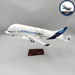 Airbus Beluga (A330-700L)