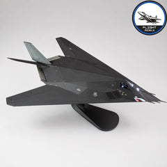 Lockheed F-117 Nighthawk Stealth Fighter
