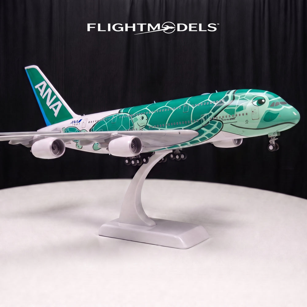 Airbus A380 ANA Flying Honu Green Sea Turtle