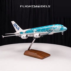 Airbus A380 ANA Flying Honu Green Sea Turtle
