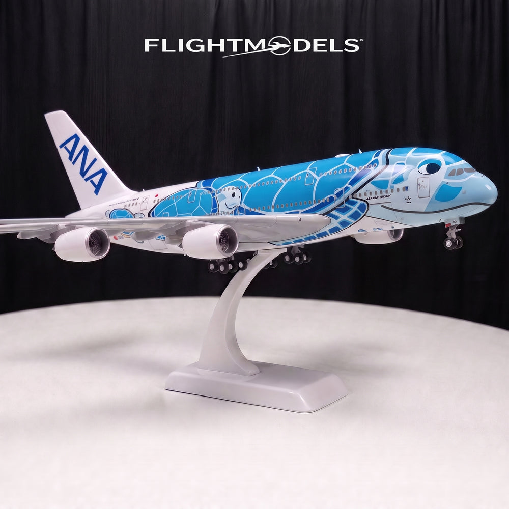 Airbus A380 ANA Flying Honu Blue Sea Turtle