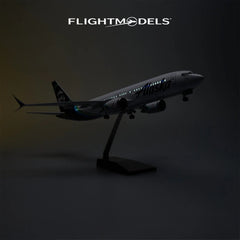 Boeing 737 Alaska Air