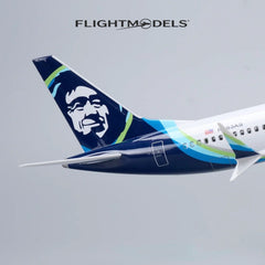 Boeing 737 Alaska Air