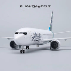 Boeing 737 Alaska Air