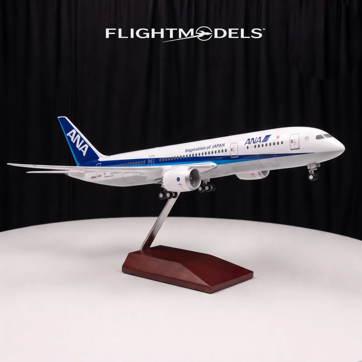 Boeing 787 ANA