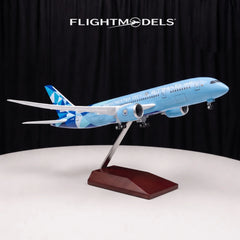 Boeing 787 Manchester City (Etihad)