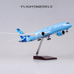 Boeing 787 Manchester City (Etihad)