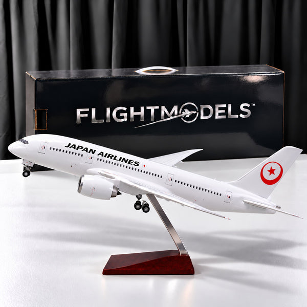Boeing 787 Dreamliner Japan Airlines