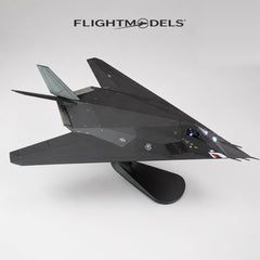 Lockheed F-117 Nighthawk Stealth Fighter