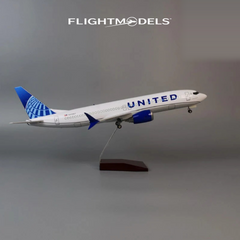 Boeing 737 United Airlines